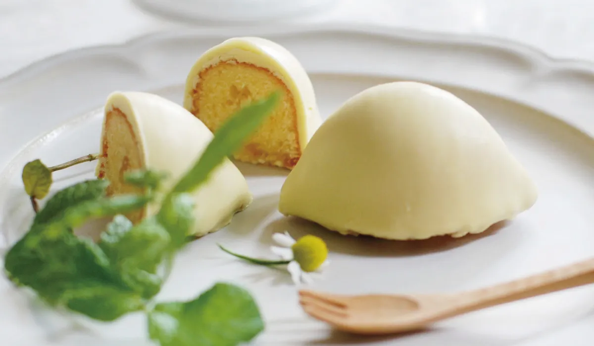 レモンケーキ型２５個取り 楽天市場】千代田金属 シリコン 加工 レモンケーキ 型 天板 25個付