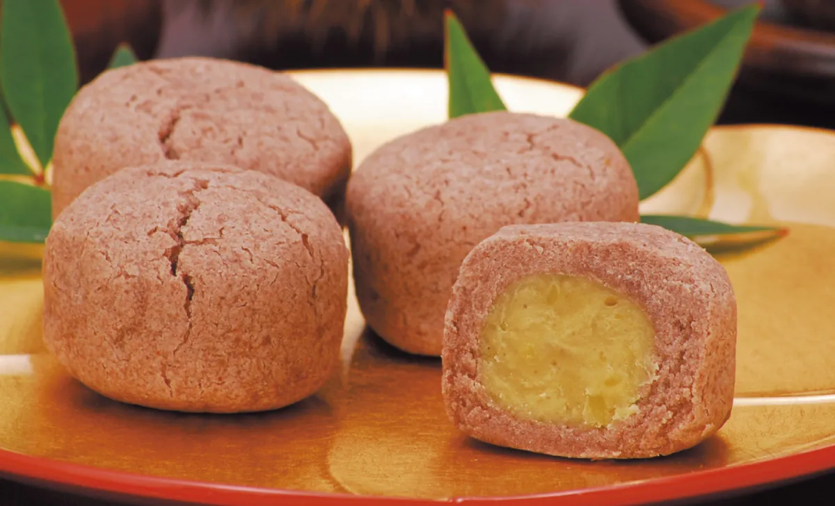 深山栗ひろい写真