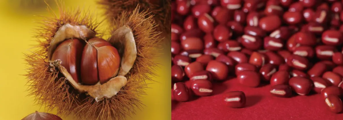 国産柚子・刻み栗写真